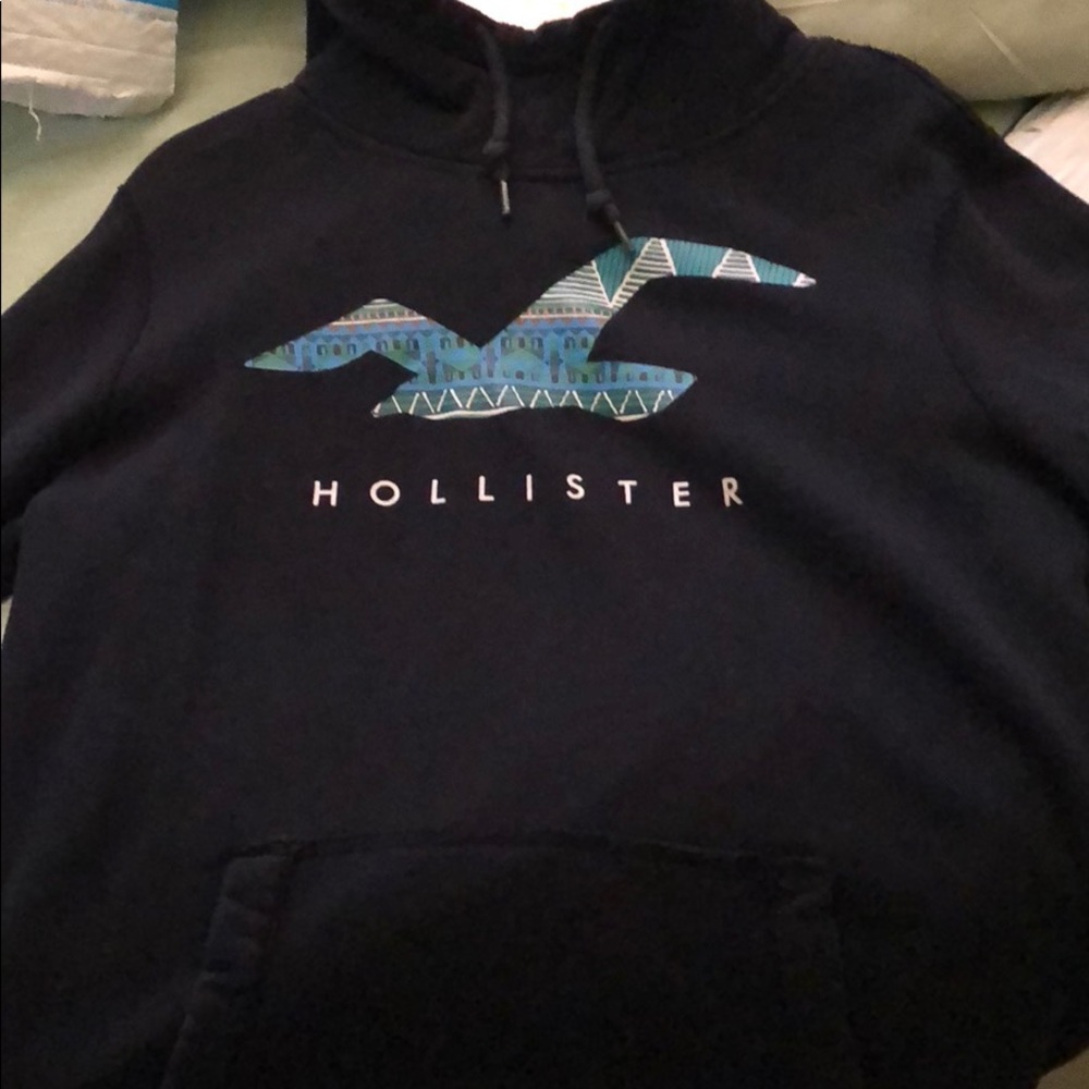 Hollister Hoodie Sweatshirt (L)